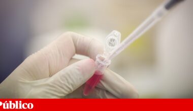 Mais de seis milhões de euros atribuídos a nove investigações biomédicas portuguesas | Saúde
