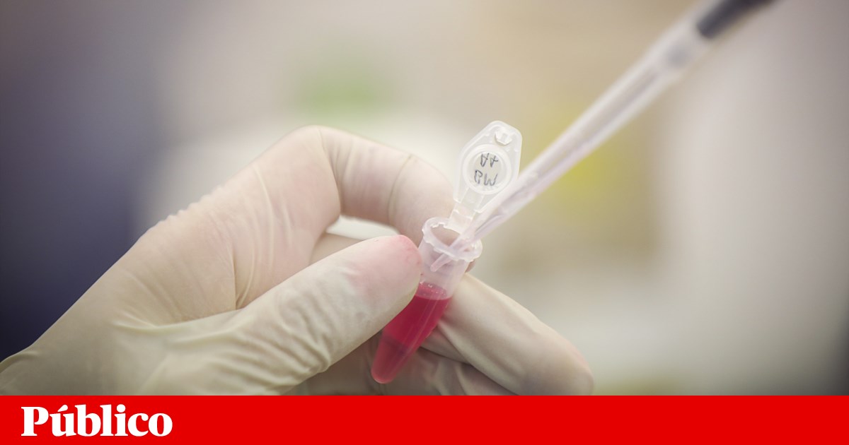 Mais de seis milhões de euros atribuídos a nove investigações biomédicas portuguesas | Saúde
