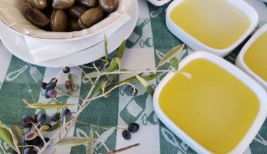 O que fazer? Segunda é dia de ir aos azeites e Lourear a Pevide | Lazer