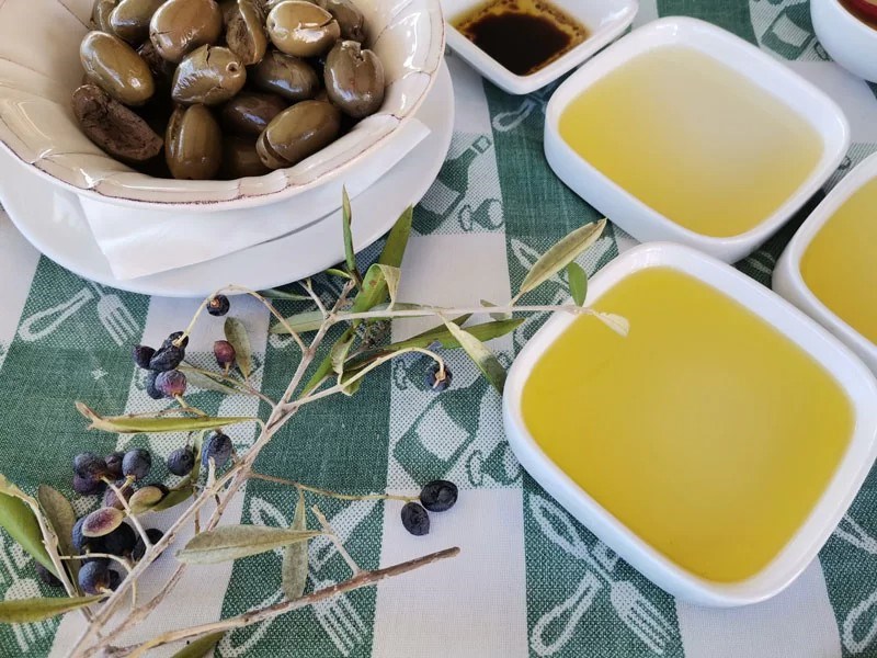 O que fazer? Segunda é dia de ir aos azeites e Lourear a Pevide | Lazer