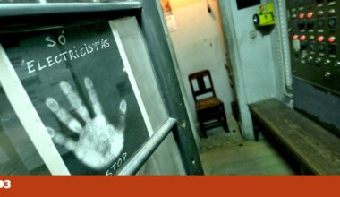 O futuro não é ser canalizador, nem carpinteiro, nem electricista | Megafone