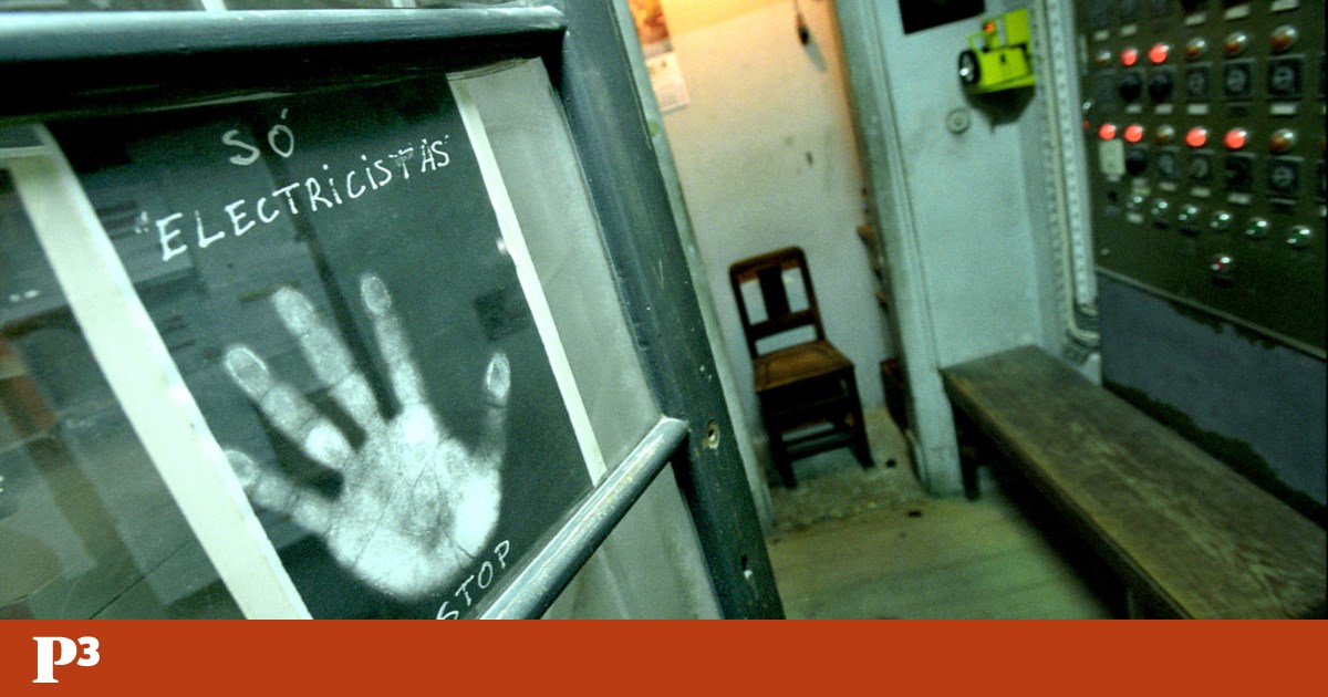 O futuro não é ser canalizador, nem carpinteiro, nem electricista | Megafone