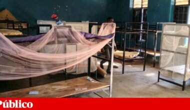 Cinquenta crianças raptadas de escola católica na Nigéria conseguiram fugir | Nigéria