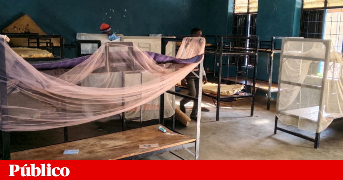 Cinquenta crianças raptadas de escola católica na Nigéria conseguiram fugir | Nigéria