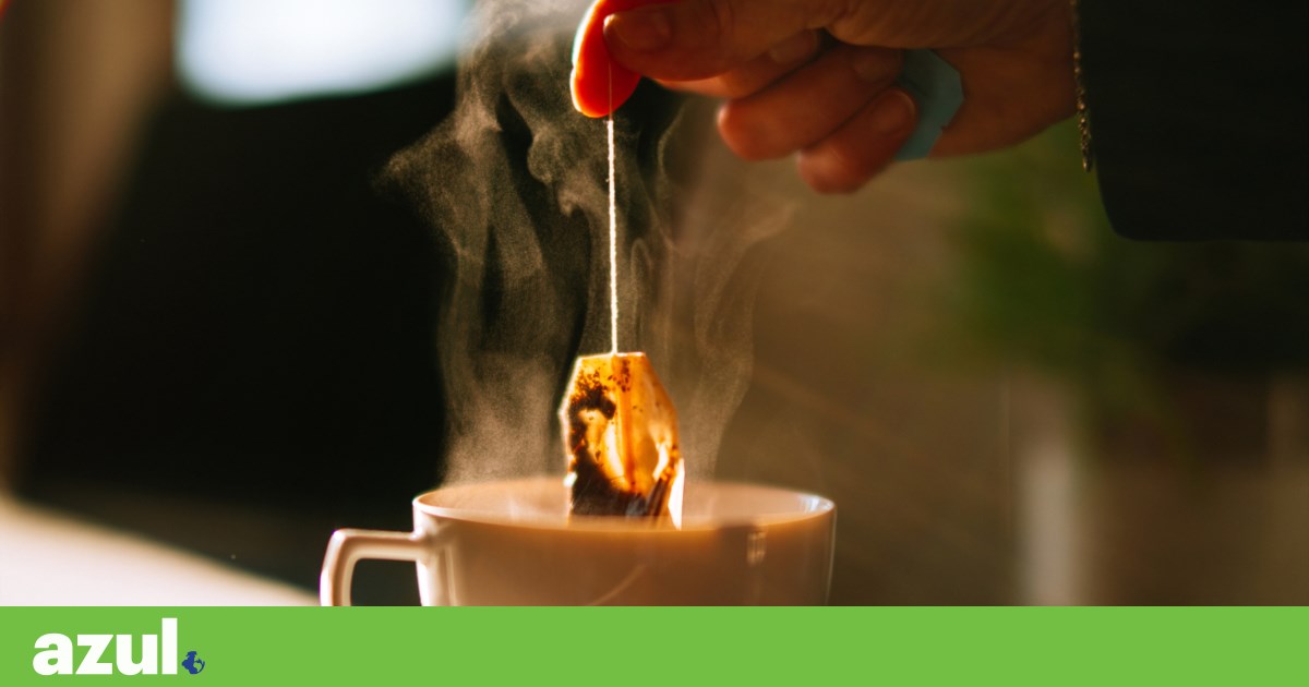 Os microplásticos estão em todo o lado, mas é possível evitá-los | Microplásticos