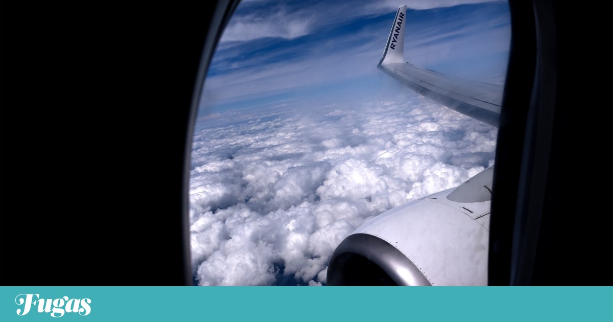 “Custou mais dinheiro do que gerou”: Ryanair cancela programa de fidelização | Turismo