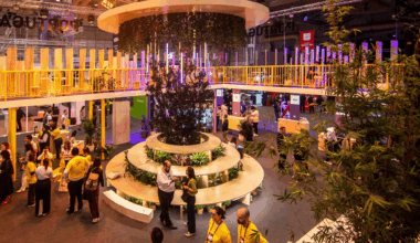 Como é que se constrói um stand que chama a atenção? Os bastidores da Web Summit