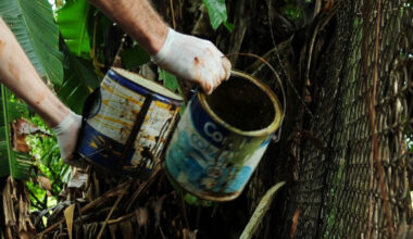 (Imagem ilustrativa/Agencia Brasilia).