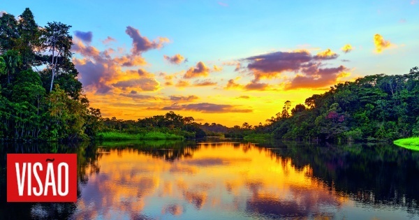 Reportagem na selva mágica da Amazónia