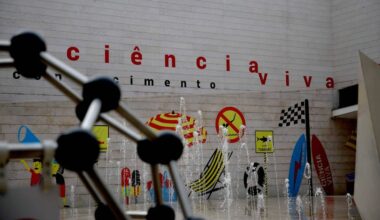 Antiga presidente da Fundação para a Ciência e Tecnologia critica fusão com Agência para Inovação