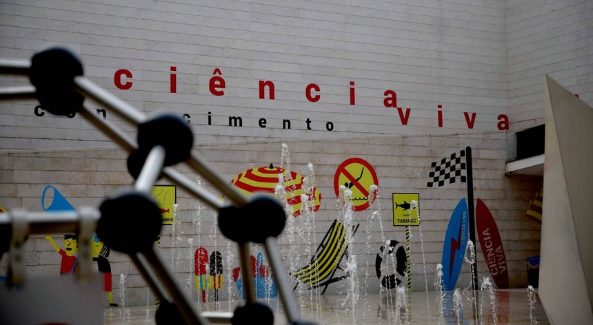 Antiga presidente da Fundação para a Ciência e Tecnologia critica fusão com Agência para Inovação