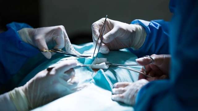 Transplante de fígado: 2,3 mil pessoas aguardam cirurgia no Brasil - BRASIL