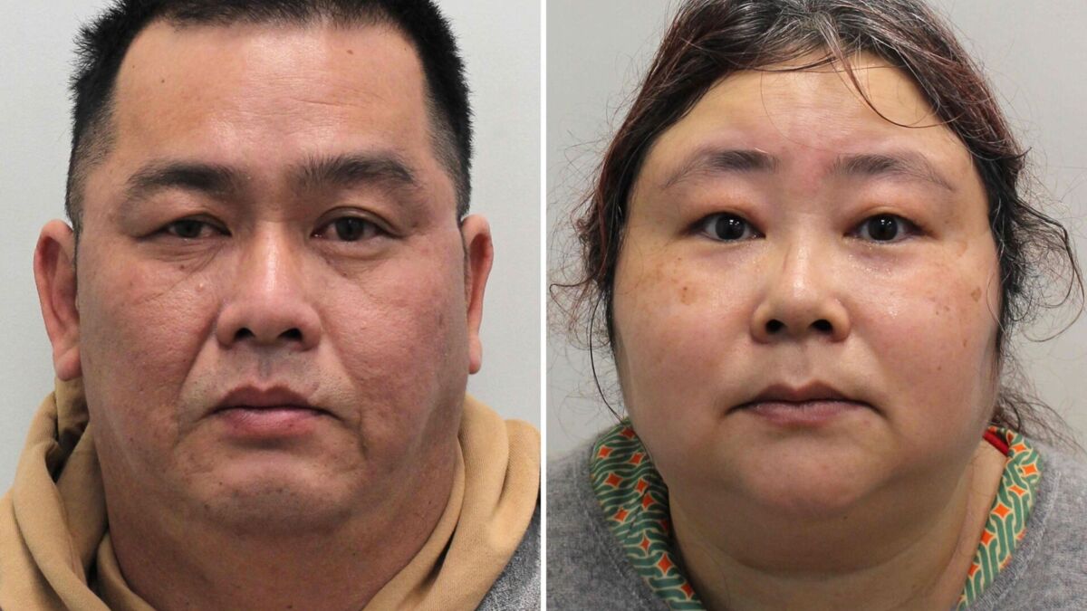 Jornal de Notícias Logo