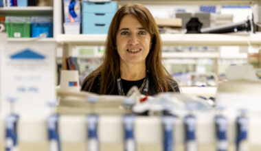 Jornal de Notícias Logo