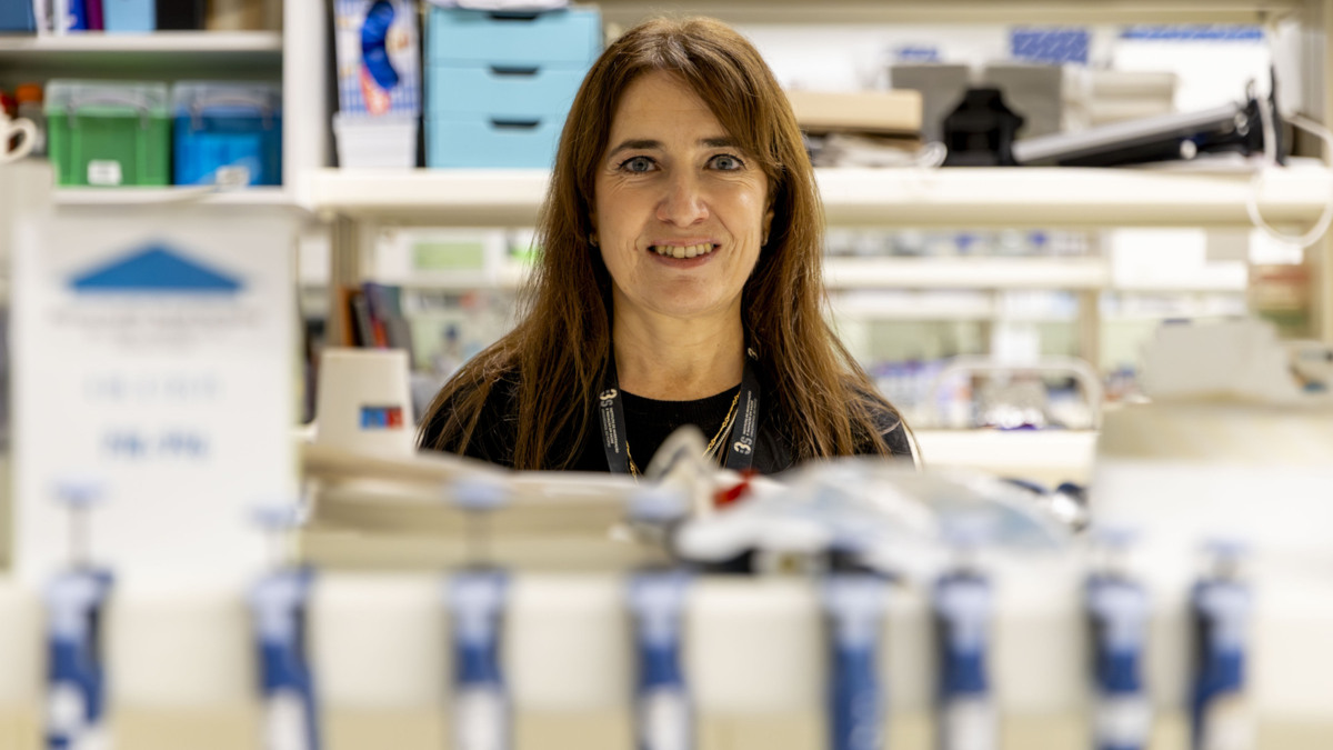 Jornal de Notícias Logo