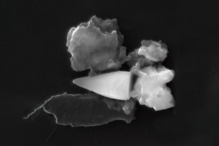 Misteriosos fósseis magnéticos serviam de GPS para animais ancestrais