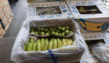 Jornal de Notícias Logo