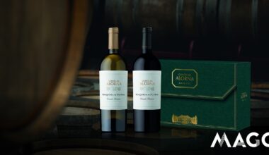 Estes 2 vinhos são perfeitos para a noite de Natal. Saiba quanto custam - Vinhos