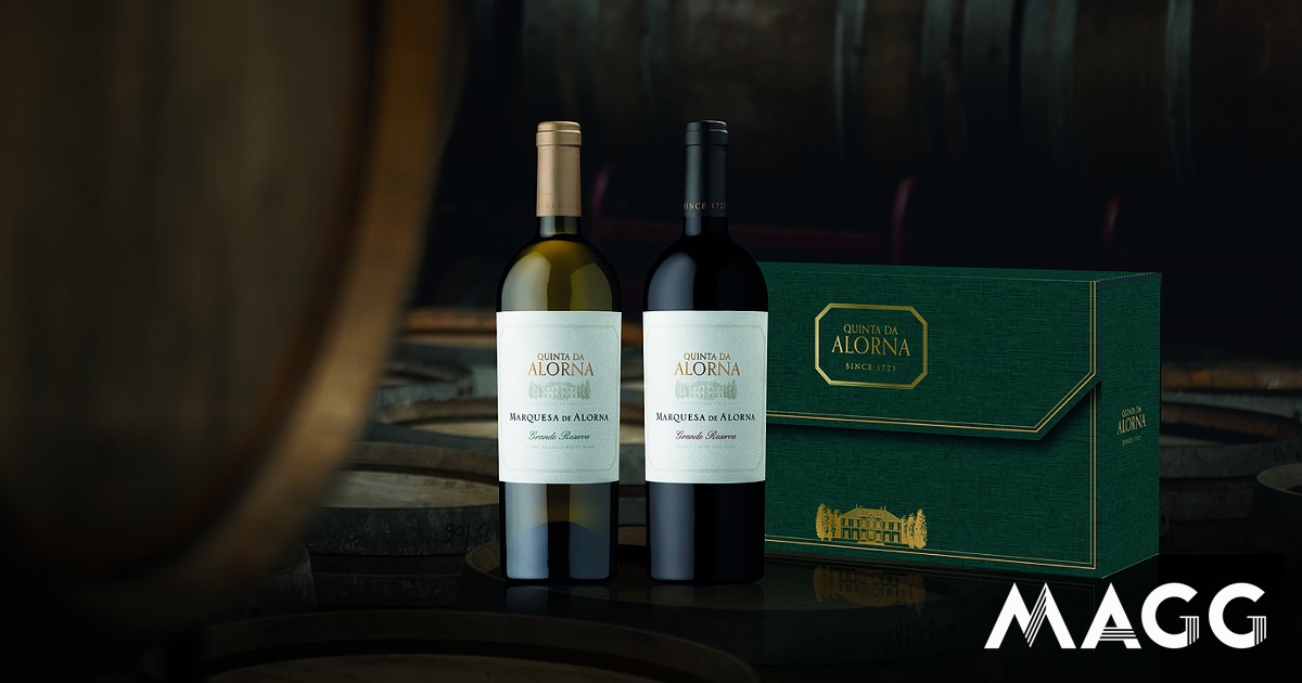 Estes 2 vinhos são perfeitos para a noite de Natal. Saiba quanto custam - Vinhos