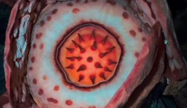 Jornal de Notícias Logo