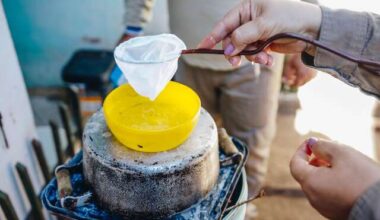 Profissionais se preparam para Chikungunya