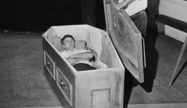 Jornal de Notícias Logo