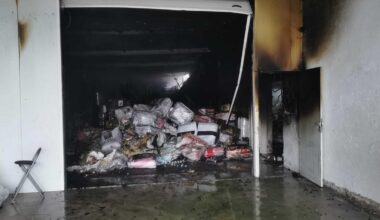 Jornal de Notícias Logo