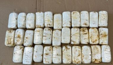 Jornal de Notícias Logo