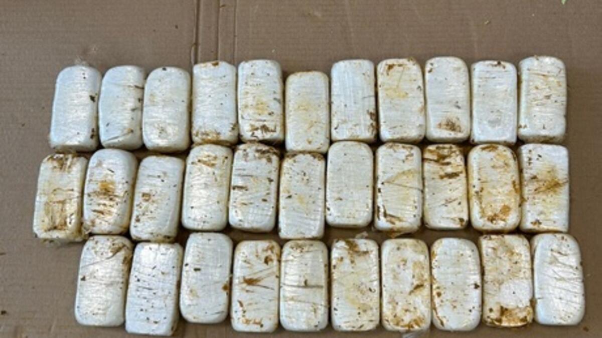 Jornal de Notícias Logo