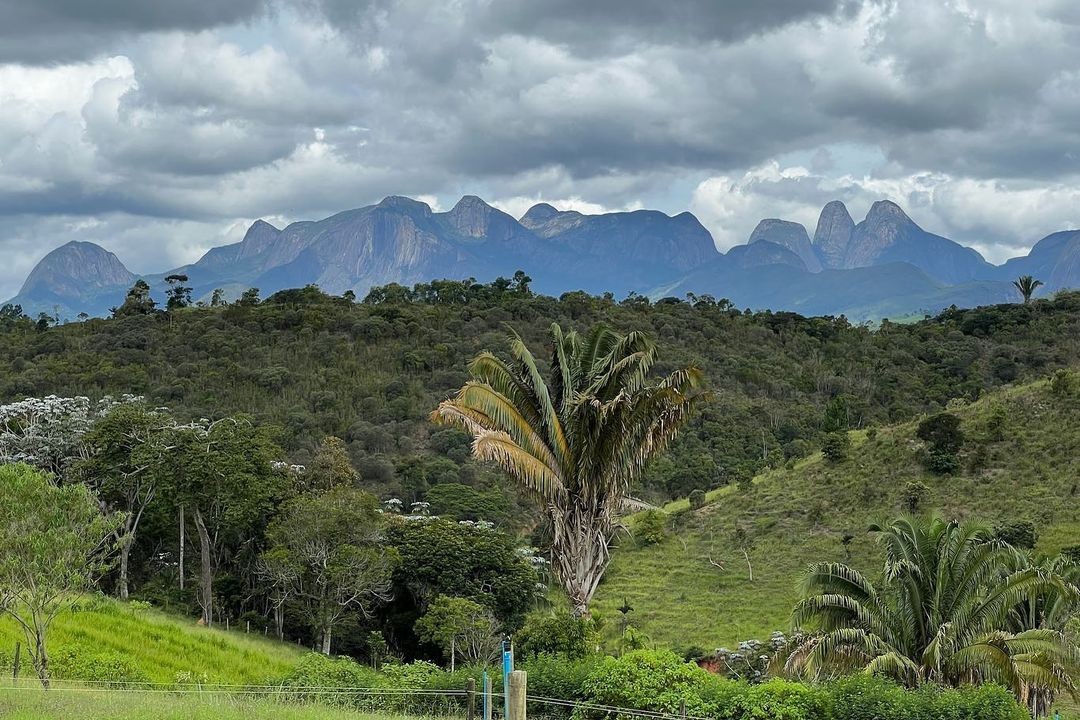 A propriedade passa por um projeto de reflorestamento da Mata Atlântica. No total, serão de mais de 200 mil árvores, entre plantadas e regeneradas, de espécies nativas como palmito jussara, jequitibá, aroeira e pau ferro — Foto: Reprodução/Redes sociais