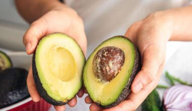 Abacate pode ajudar no equilíbrio do colesterol, aponta estudo