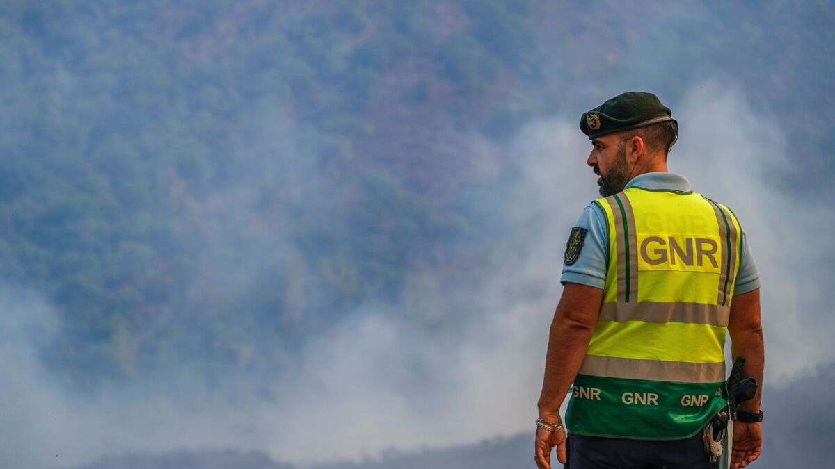 Jornal de Notícias Logo