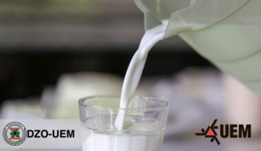 Pesquisadores da UEM criam higienizantes naturais para a produção de leite - Rádio Maringá