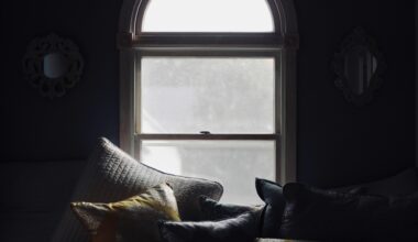 Só custa 1,29 o produto mais impensável para acabar com a humidade em casa