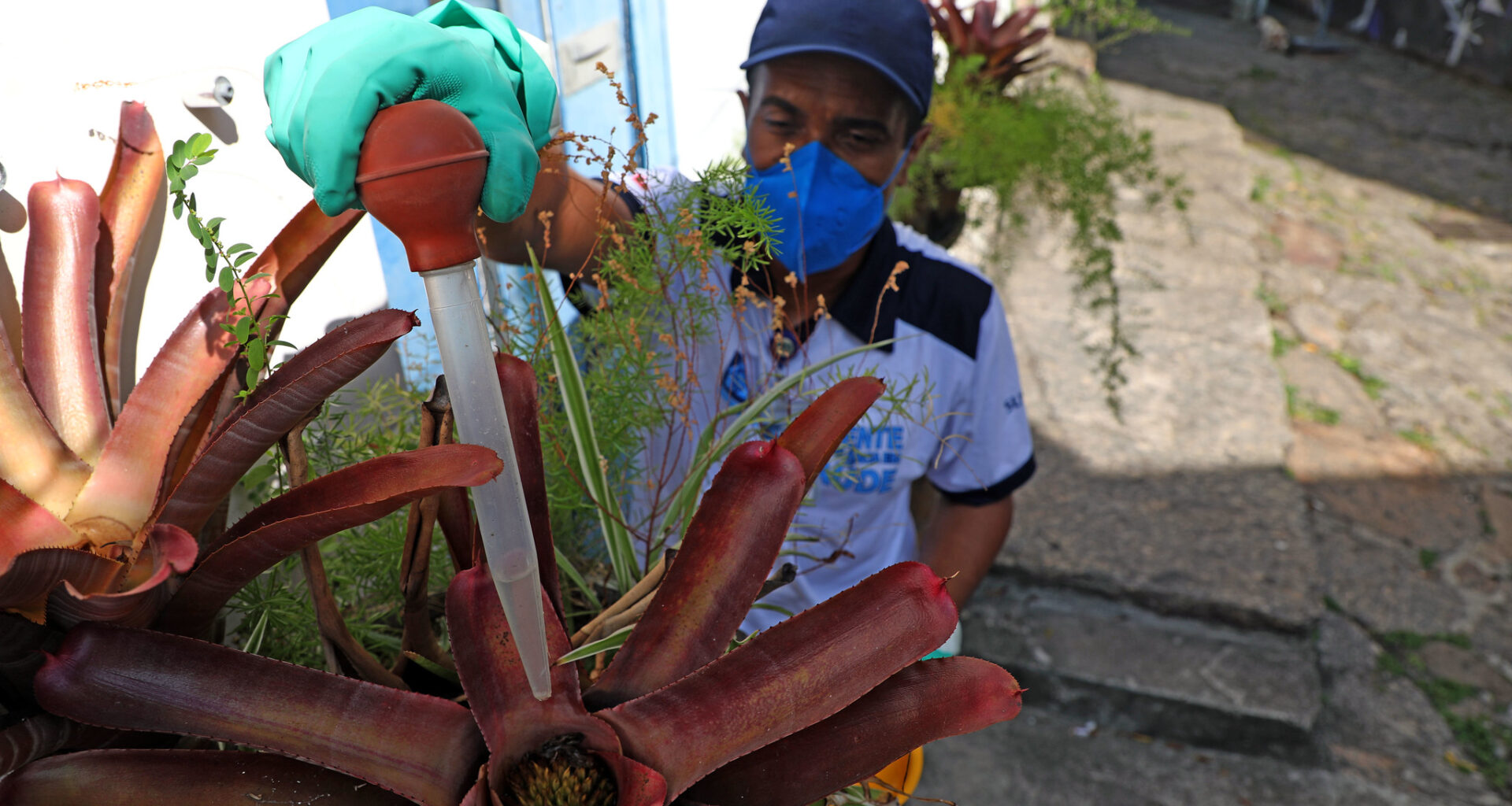Saúde intensifica medidas de combate às arboviroses - Prefeitura da Cidade do Rio de Janeiro