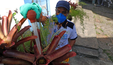 Saúde intensifica medidas de combate às arboviroses - Prefeitura da Cidade do Rio de Janeiro