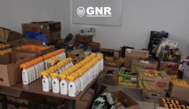 Jornal de Notícias Logo