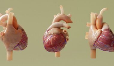 Técnica acessível de imagem pode prever riscos cardíacos em pacientes com doença de Chagas