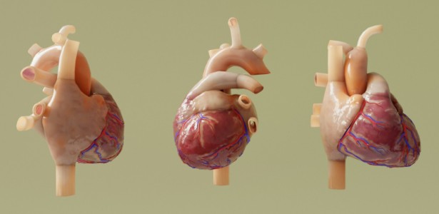 Técnica acessível de imagem pode prever riscos cardíacos em pacientes com doença de Chagas