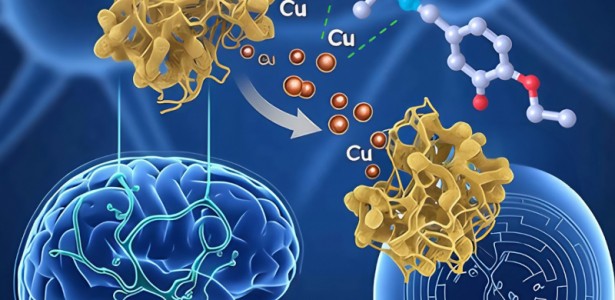 Pesquisadores desenvolvem composto químico com potencial contra doença de Alzheimer