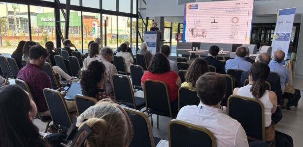 Grupo estuda microbiota intestinal do gado nelore em busca de biomarcadores para seleção animal