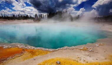 Os terramotos de 2021 fizeram algo inesperado à vida nas profundezas de Yellowstone