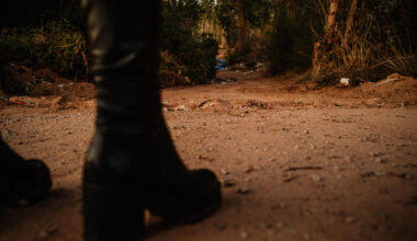 Jornal de Notícias Logo