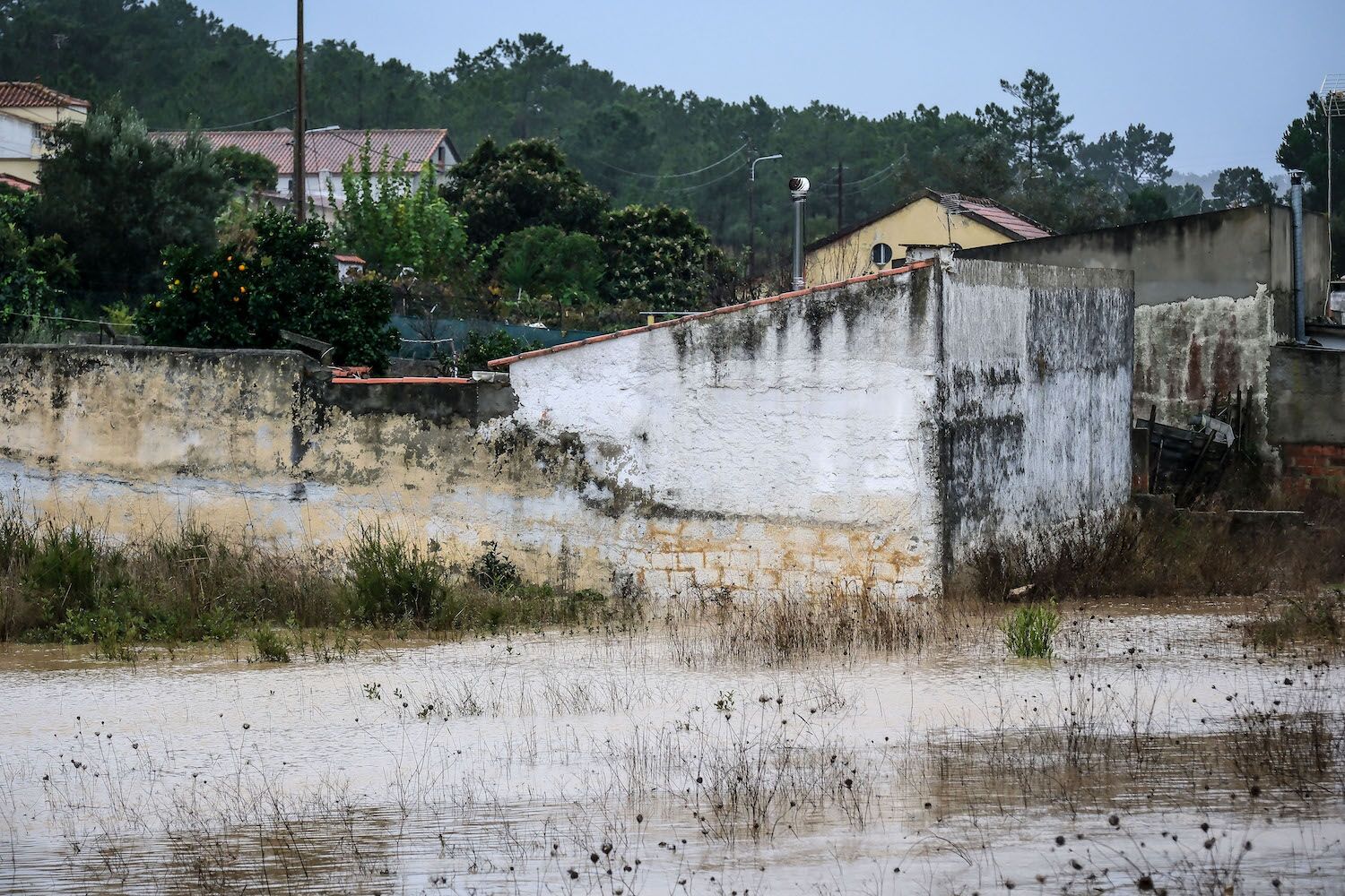 o que se passou na casa onde morreu um casal