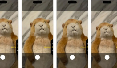Comprou um iPhone novo? Veja como usar as novas câmeras do celular