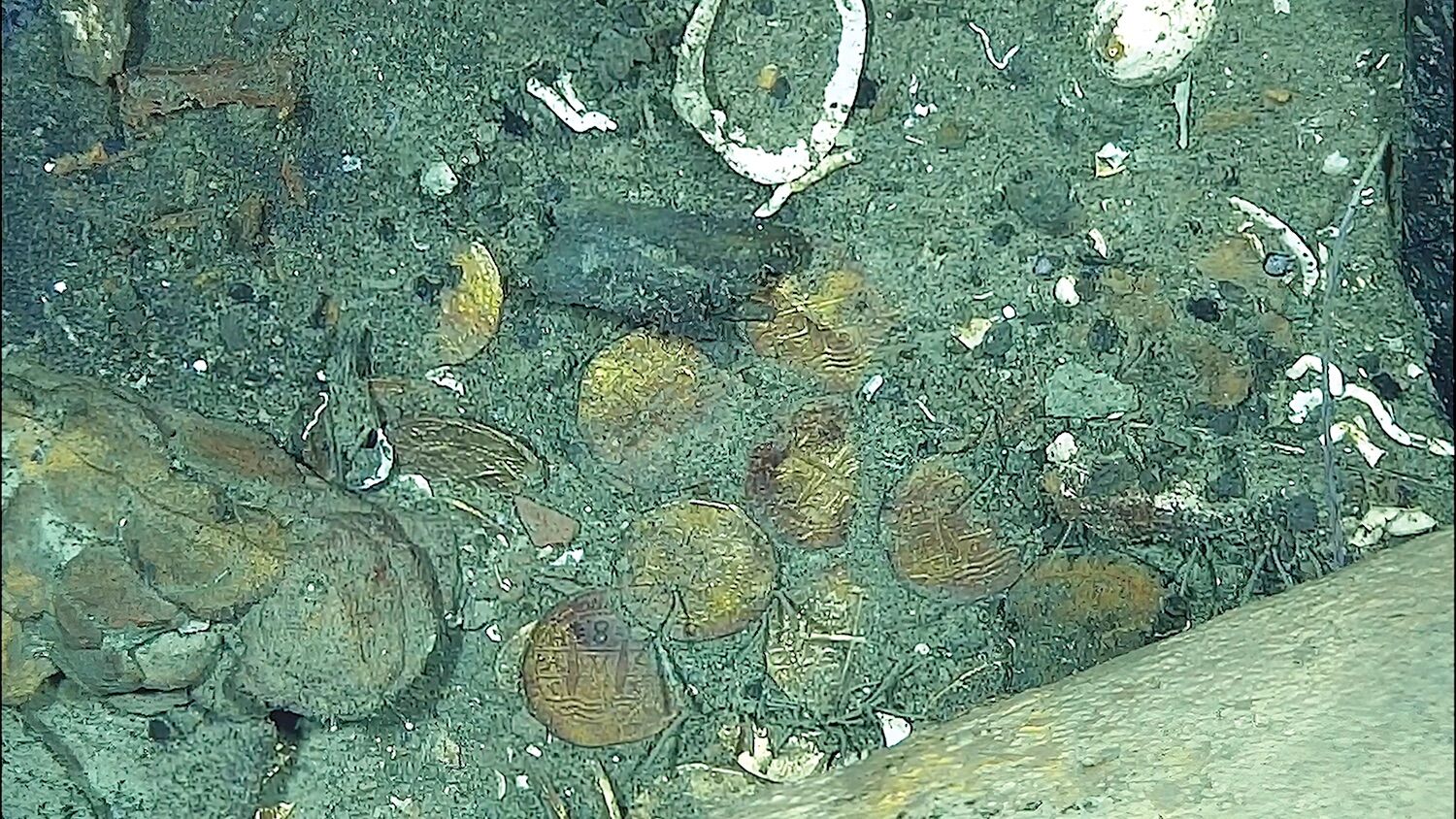 Galeão San José: recuperados os primeiros cinco objetos do tesouro mais valioso do Mundo