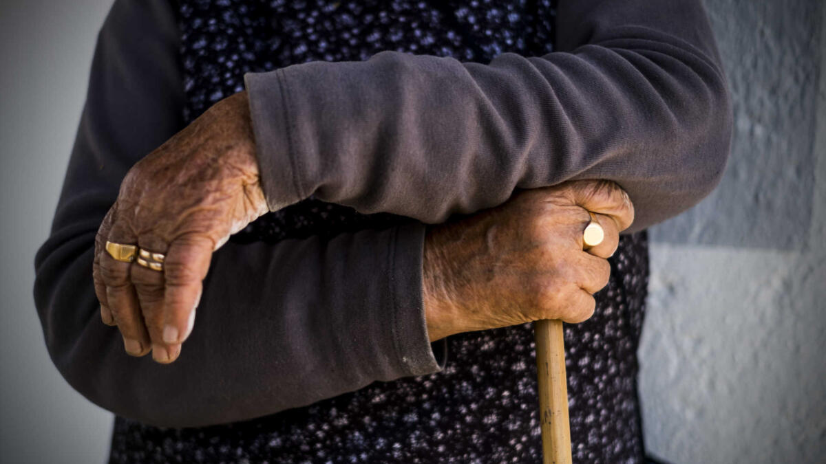 Jornal de Notícias Logo