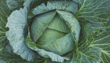 Não gosta de couve? Há uma forma mais saborosa (e saudável) de a comer