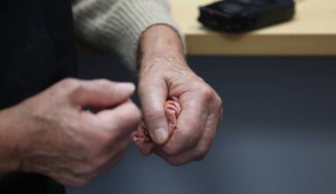 Dados da APAV. Idosos vítimas de crime aumentam, sobretudo mulheres após anos de violência doméstica