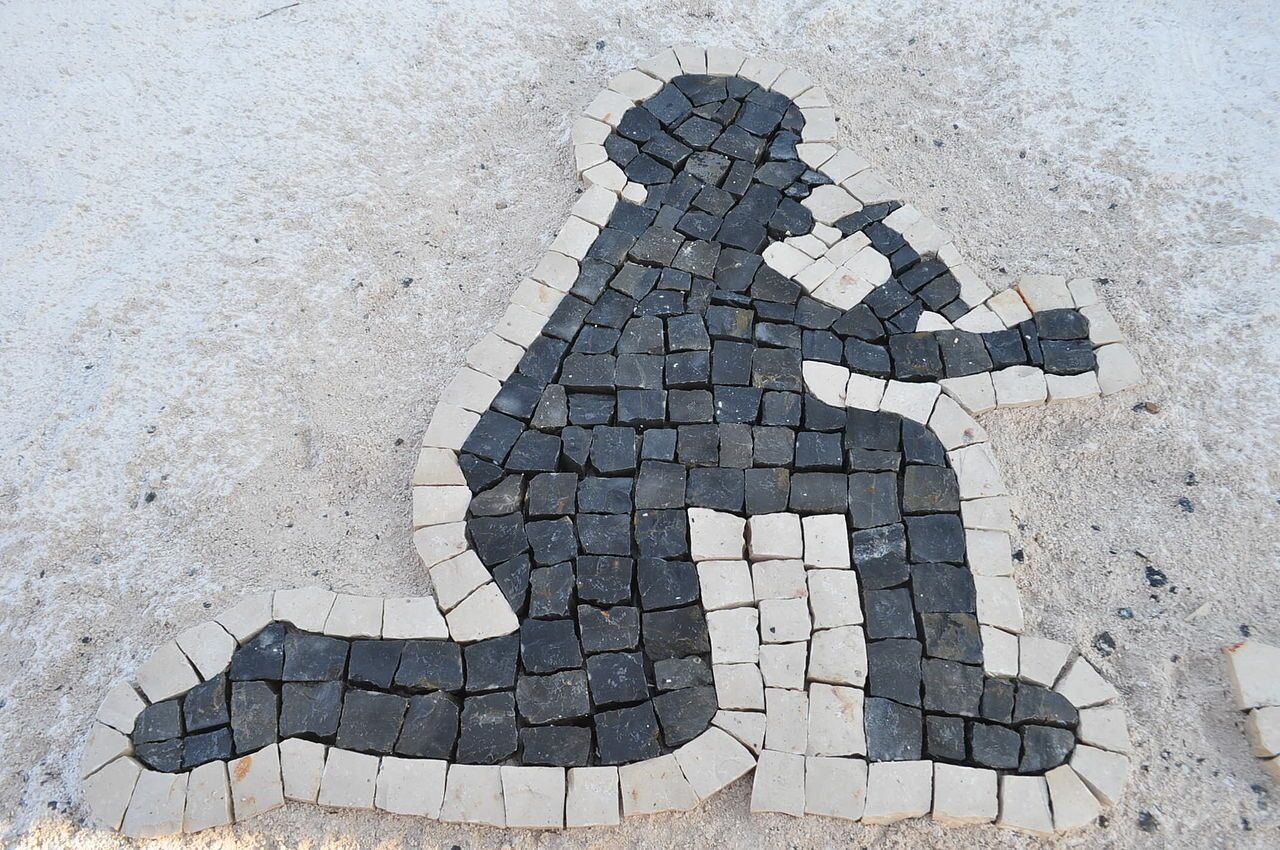 o que entrou no Parlamento